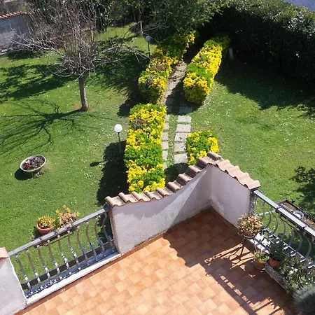 Bed & Breakfast Alexander Ciampino